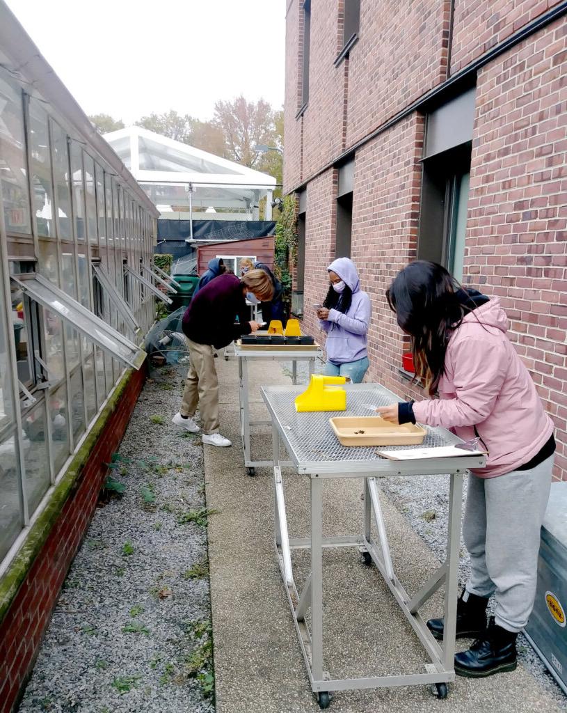 上学校 science Urban Food Systems outdoor lab